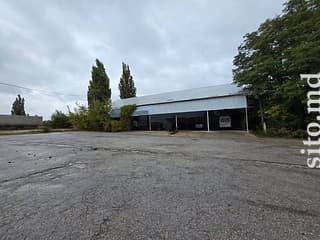 Продажа действующего бизнеса - фото 2