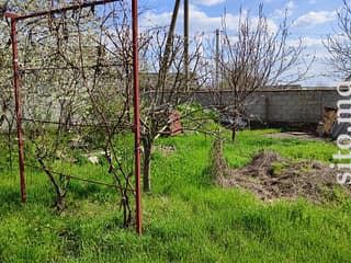 Дом (3-комнатный, 1-этажный, 50 м²) - фото 4