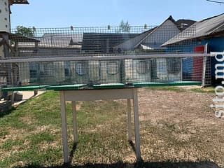 Домики, клетки и вольеры для животных - фото 5