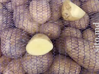 Овощи, фрукты, орехи и грибы - фото 3