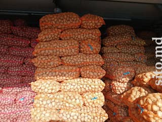 Овощи, фрукты, орехи и грибы - фото 2